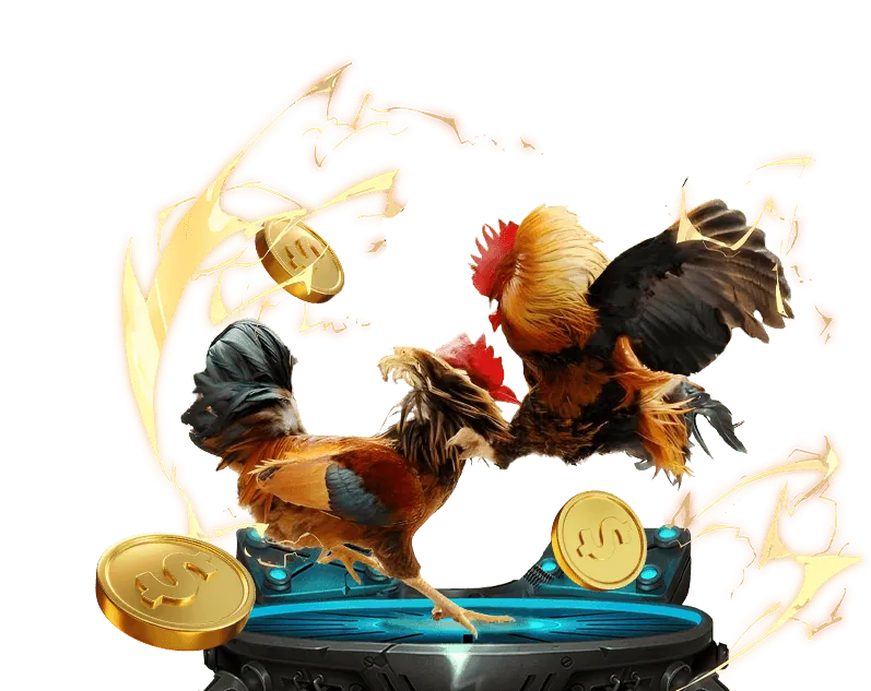 Cá cược đá gà trên di động 78win OKVIP